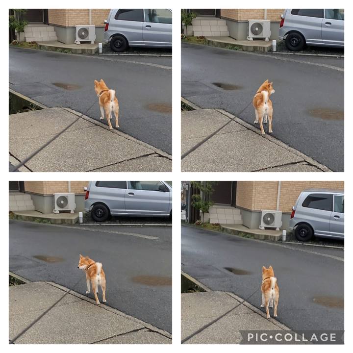 Db4de835 e7a4 42e5 b62f d1482e2b039b 1708398228941