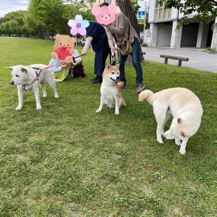 Db4deb13 3f83 45c3 a3b7 cb04738b24f8 1651838449844