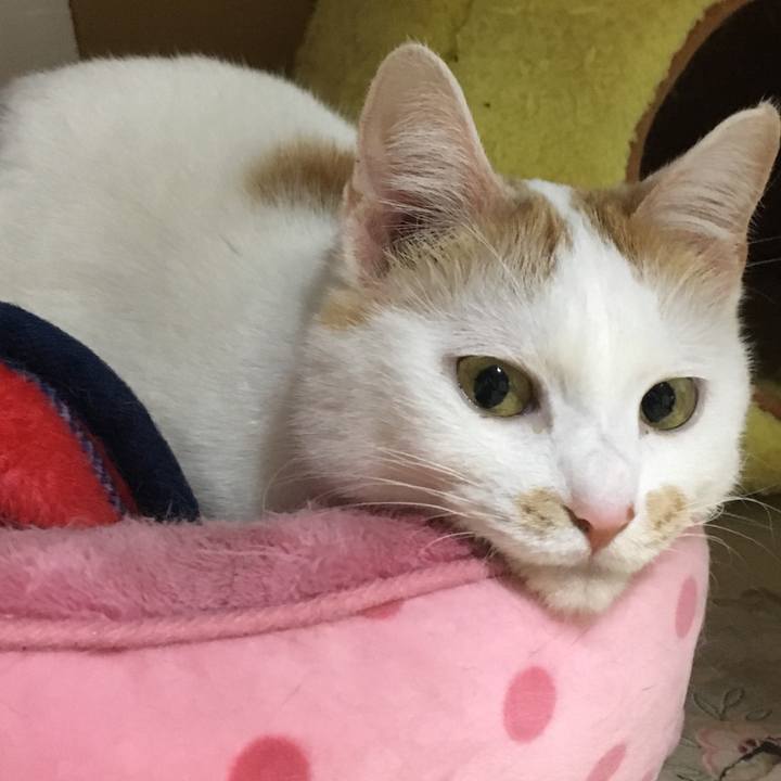 Db4e5626 2420 49c7 bf05 7f3aa5ac1f10 1519643716151