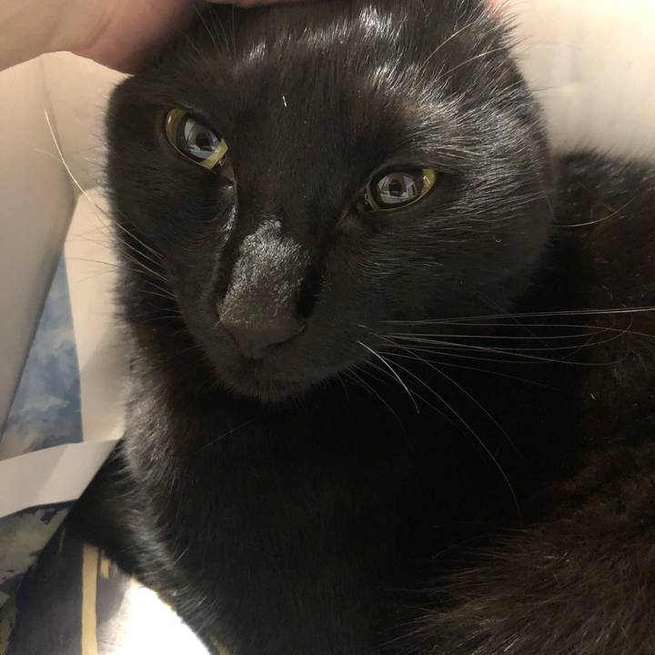 Db4e90b7 a665 4b43 8197 92ccc0b42b23 1629811596416