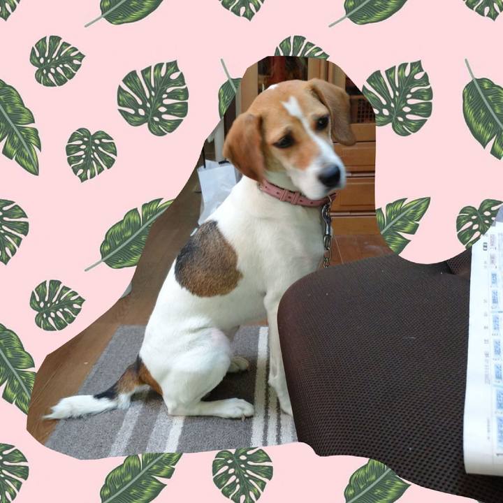 Db4edc88 9164 4e1e 8ea2 19e53cbd50f4 1597380209739