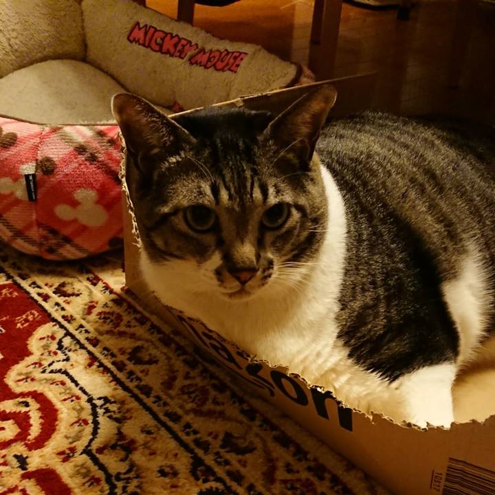 Db4f00ae 07f4 414a b5ef 5038f1e1aa57 1549026897682