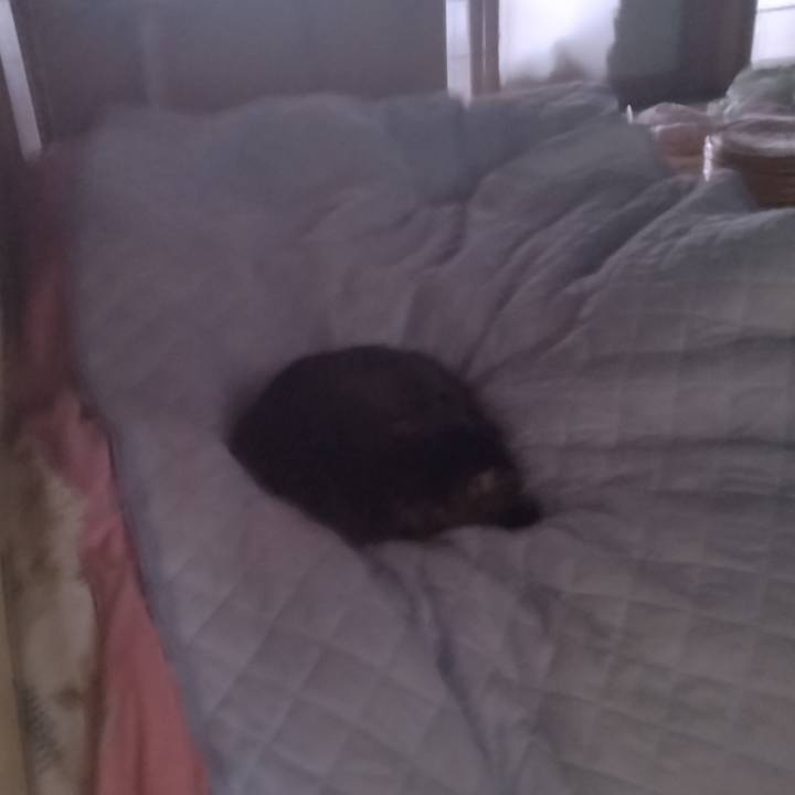 Db4f1a0f 5d20 4a28 bc54 feb246d317c1 1713910221895