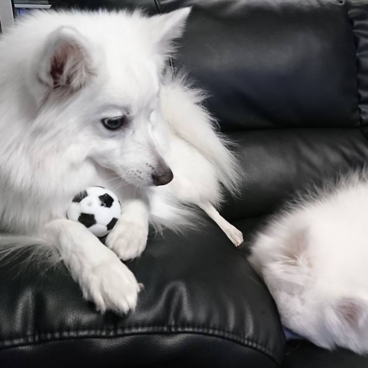 Db4f6d17 9a30 43fa 9d8e 86106a128304 1547557192594