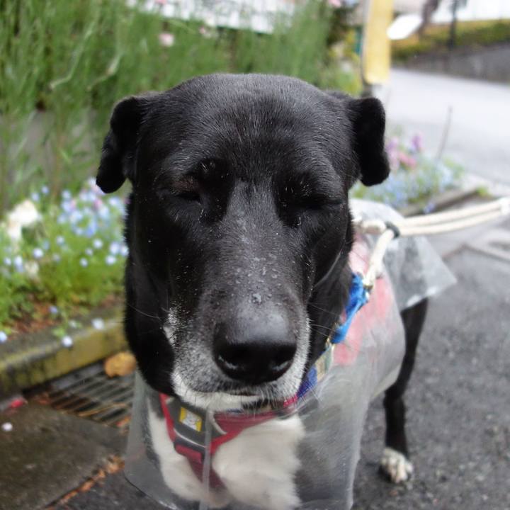 Db4f74d1 6a4c 4def a5e4 6818e217650e 1648945668131