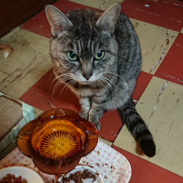 Db4fb543 5847 40f9 b890 5bc835b00cf4 1555102055521