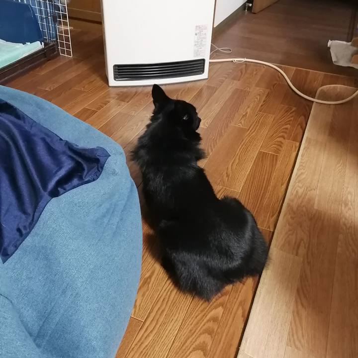 Db4fc7c2 c83b 432d 9467 f5b03996cae5 1609024897193