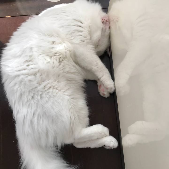 Db501655 388f 40a4 aad3 0cdfc01ac6bc 1525004861505