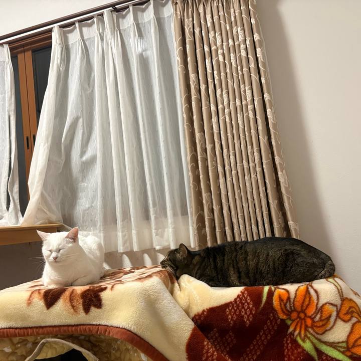 Db505265 f583 4389 9a45 6360e254d05c 1768302102592