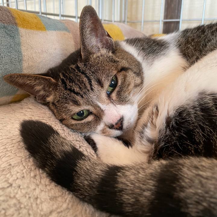 Db505e62 bc2f 43d0 a71a 5ac11707f99e 1633398122712