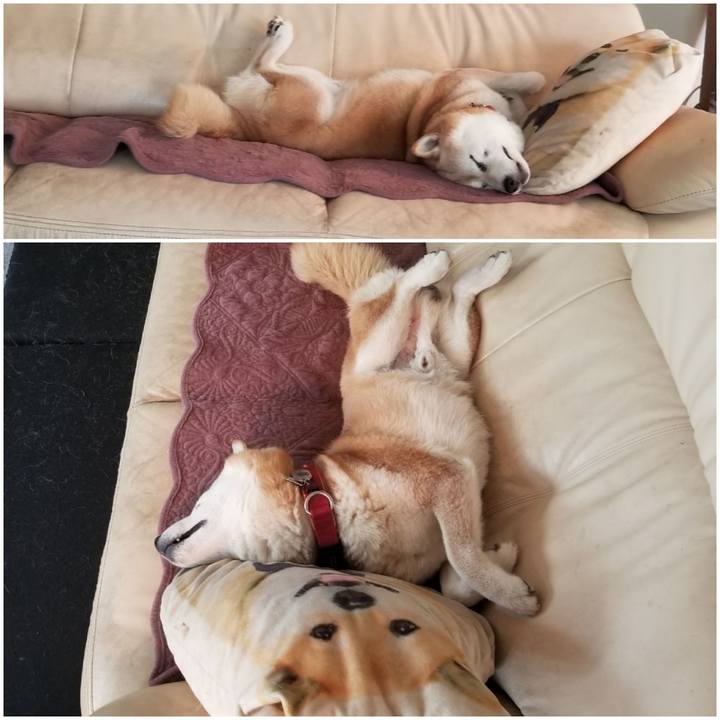 Db505f4b 6452 460f 8b87 9ba783c092a7 1753497451826