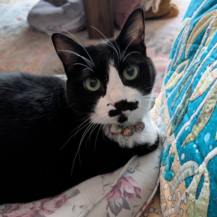 Db507a39 a06b 44be 8503 7fc6687e2ef6 1761690795028