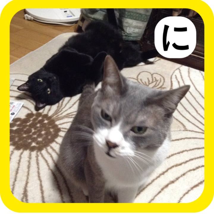 Db50a6e3 d8b0 4265 8c81 c57faf73b39e 1514805863527