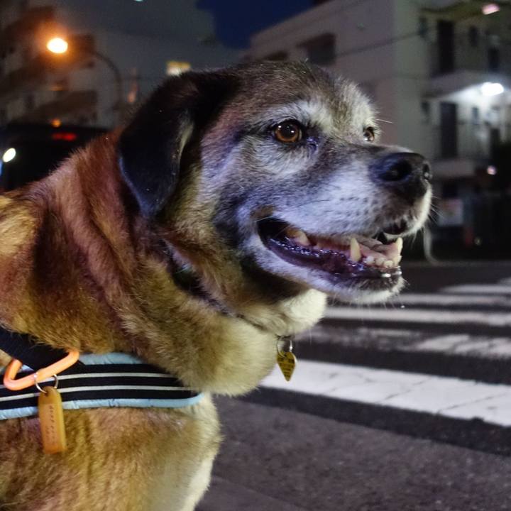 Db50afa2 11c1 4290 bd24 a7c93d80982f 1670201365222