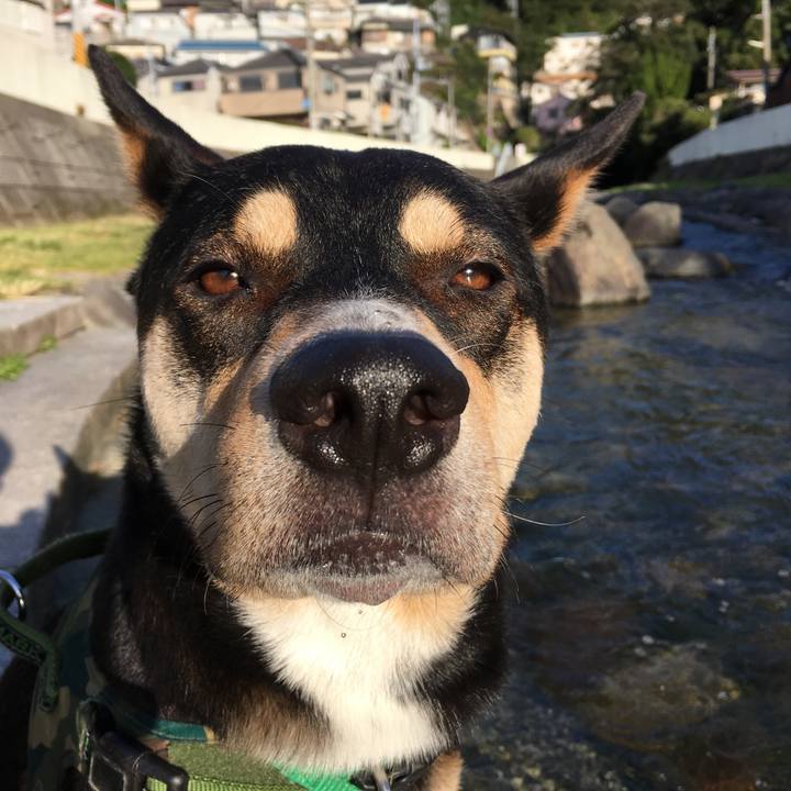 Db50dbdc cf34 40a4 b64e e0b82e4db4f3 1540125863128