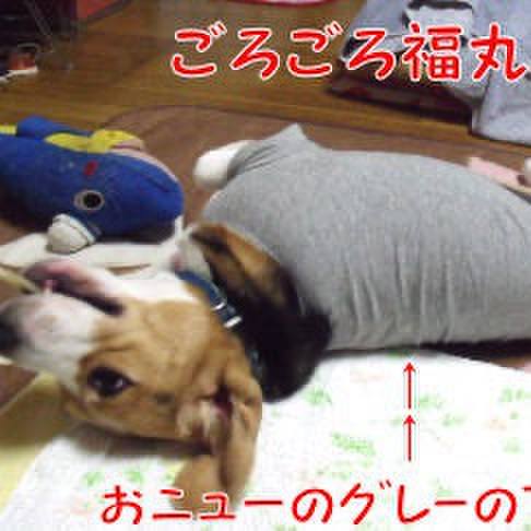 Db50e284 d1e8 4a40 b736 08153b749427 1718230398953