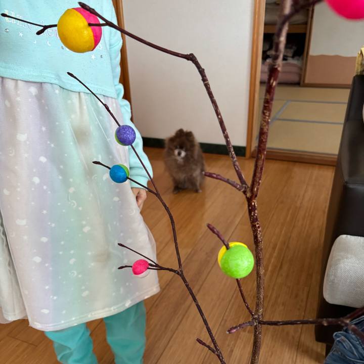 Db50f1e0 816c 4768 93cc 5783ac79af9c 1766800628327