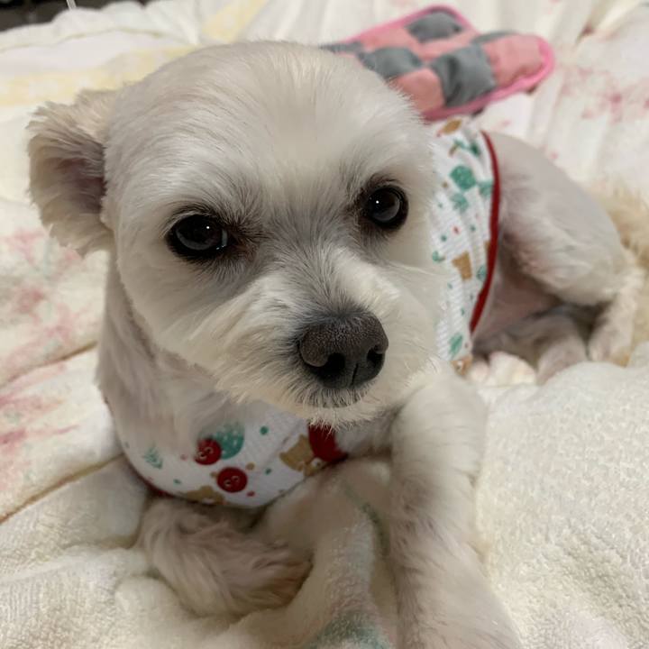 Db50fc40 d17b 410f a6d5 62d1cfe15cc4 1621769936511