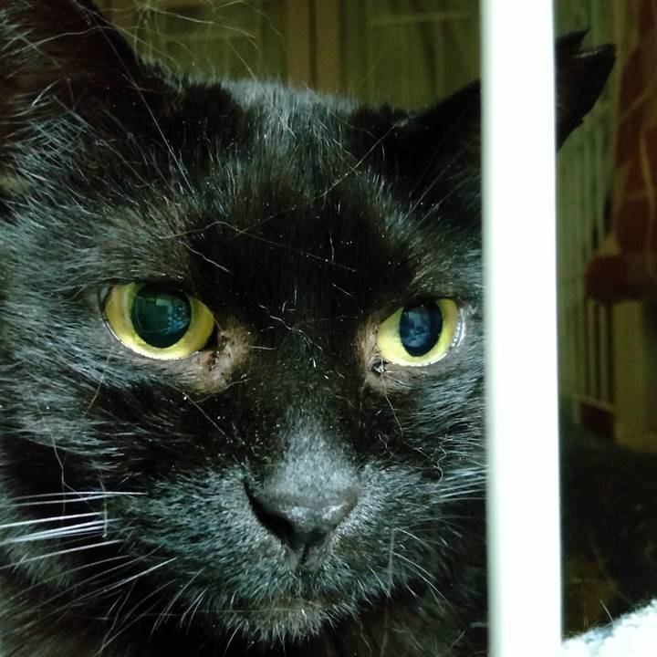 Db510261 f152 4144 b2e3 24f269aacc84 1678059481234