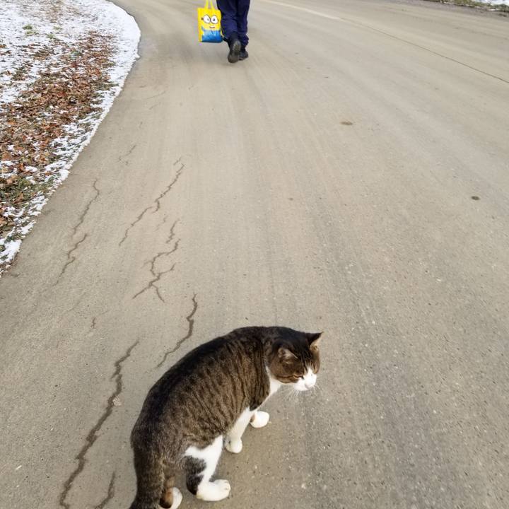 Db5105d0 df55 45d7 bfb1 fd7e275f97b3 1607003077992