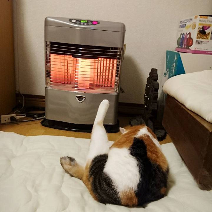 Db512223 436b 4e84 896c 478e830f7927 1515844804686