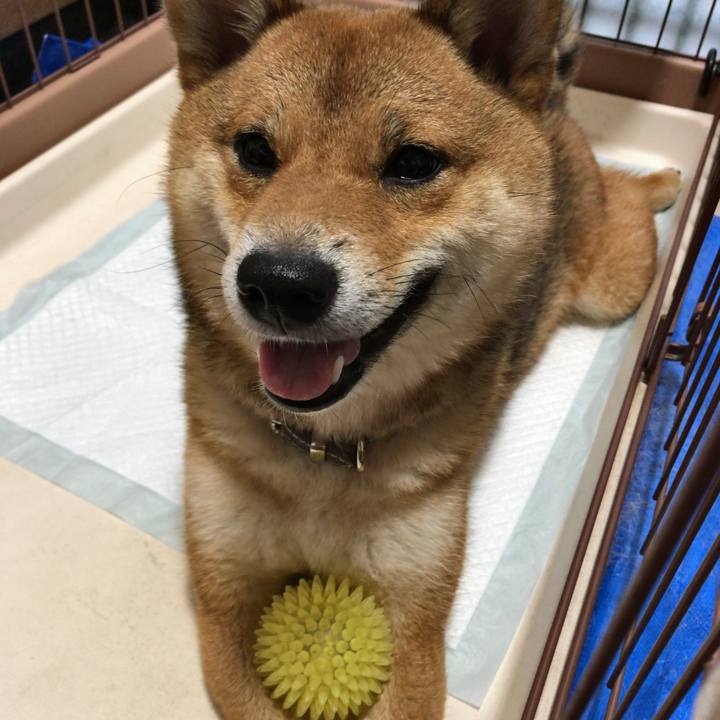 Db512e55 6b01 4b26 82ae 859d327e6e4f 1528758415615