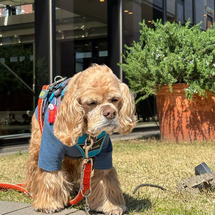 Db514917 ac6b 4d5f b043 4e74231fbc1f 1773759831859