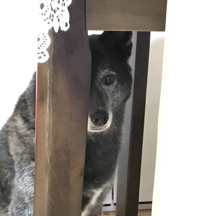 Db51aa1c 7028 4b30 903f 3cd2a6554f65 1602421976474