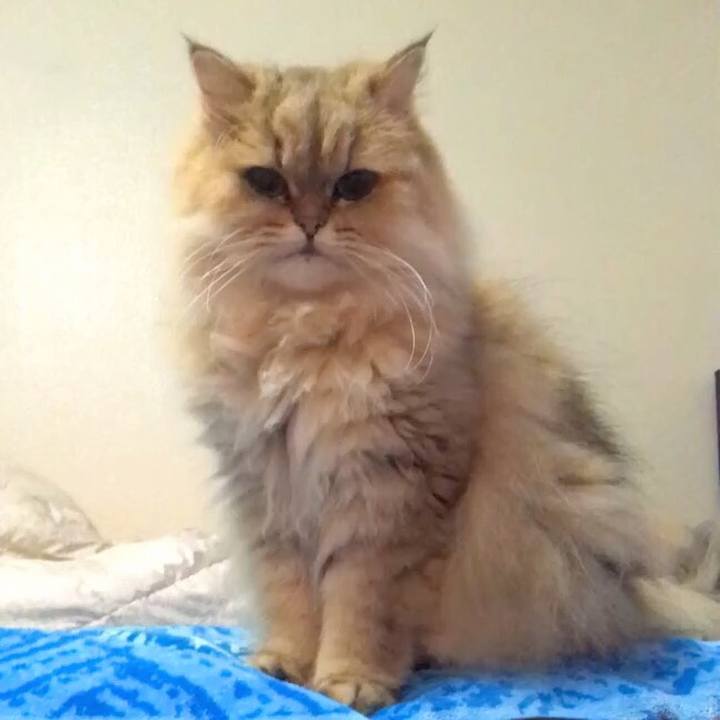 Db51ee97 58e5 45f8 b82e 534eec92297a 1535388286401