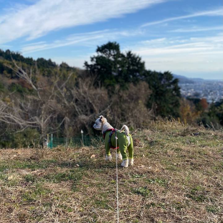 Db5201c6 7f29 4b2c b4a2 c6f79556f47a 1608965309326