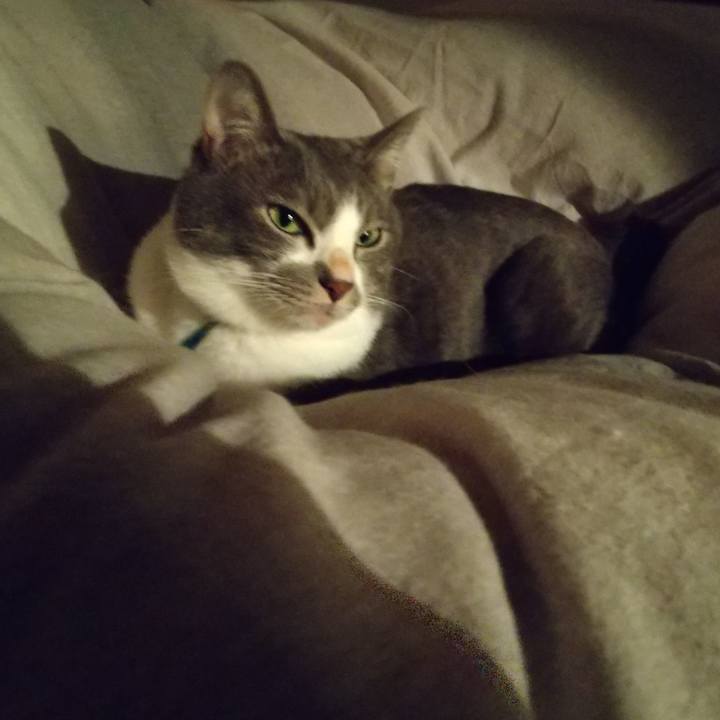 Db52313a 91fb 41e2 8ef7 8341f510c741 1638315383469