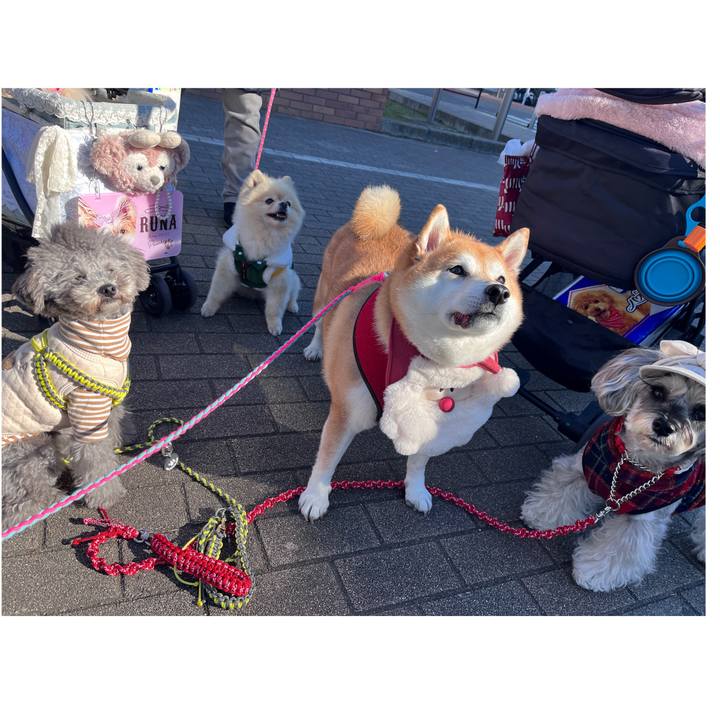 Db5262da b452 482b 9e98 42eaa0155c0d 1703130838394