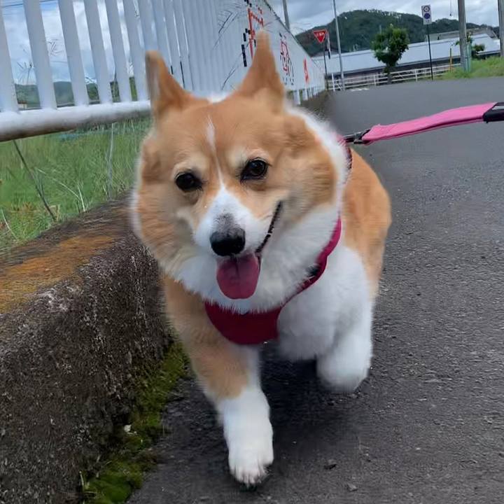 Db527a3f 65c5 4f3f 8a52 8f71a8df4358 1684894812624