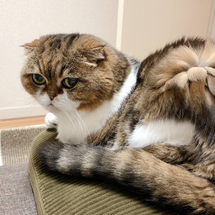 Db52a4a5 9fa0 4873 be62 ecf4b703682c 1598613403438