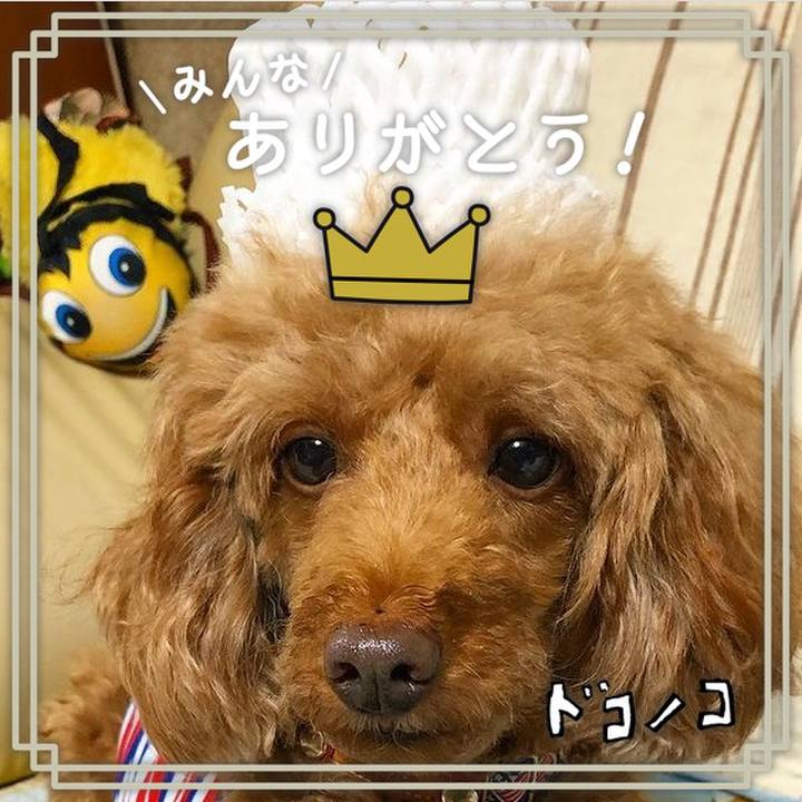 Db52a4a6 170c 4aa1 954f f5b5f0e09c1c 1622942807430