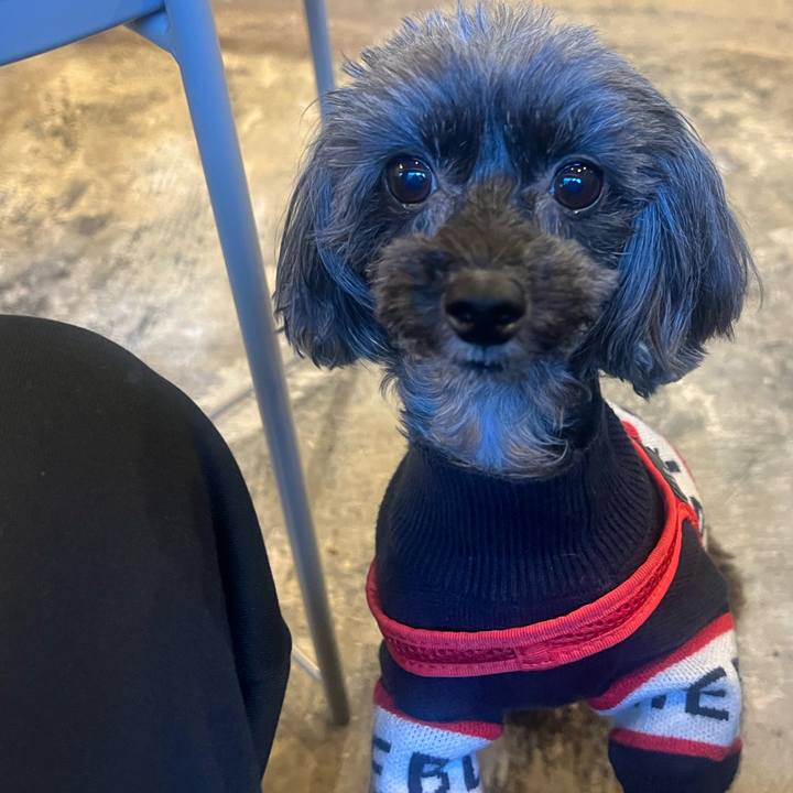 Db52b9e6 23c5 4386 8093 1ee510a4e7b2 1764948068421