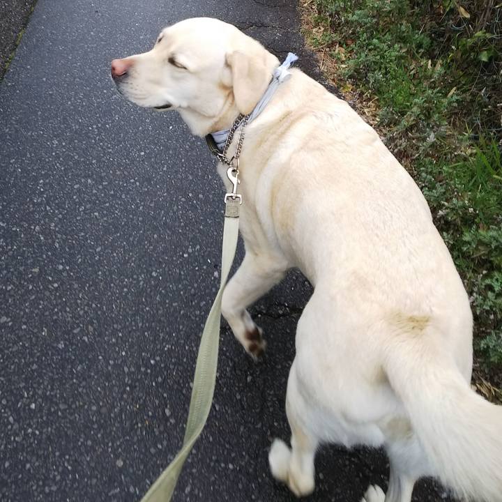 Db52dba2 5560 45af 92ff 9cbf9b8fa5ef 1583284865960