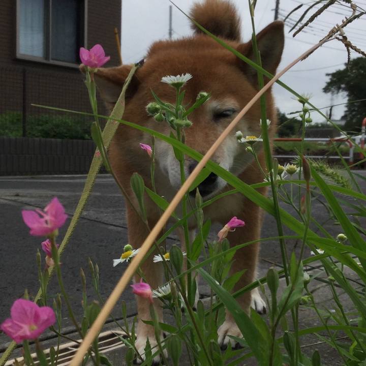 Db52fe90 3fb4 4c2e 8a83 49c3f4ede9e2 1563242300243