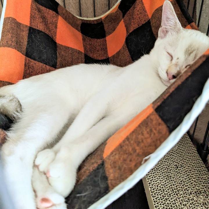 Db531b37 8137 4aa2 854c bbdde8663a42 1691210714339