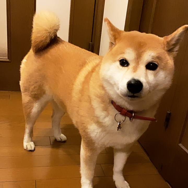 Db53527e e351 4b8d 9d70 37d6c703f9ec 1580918415912