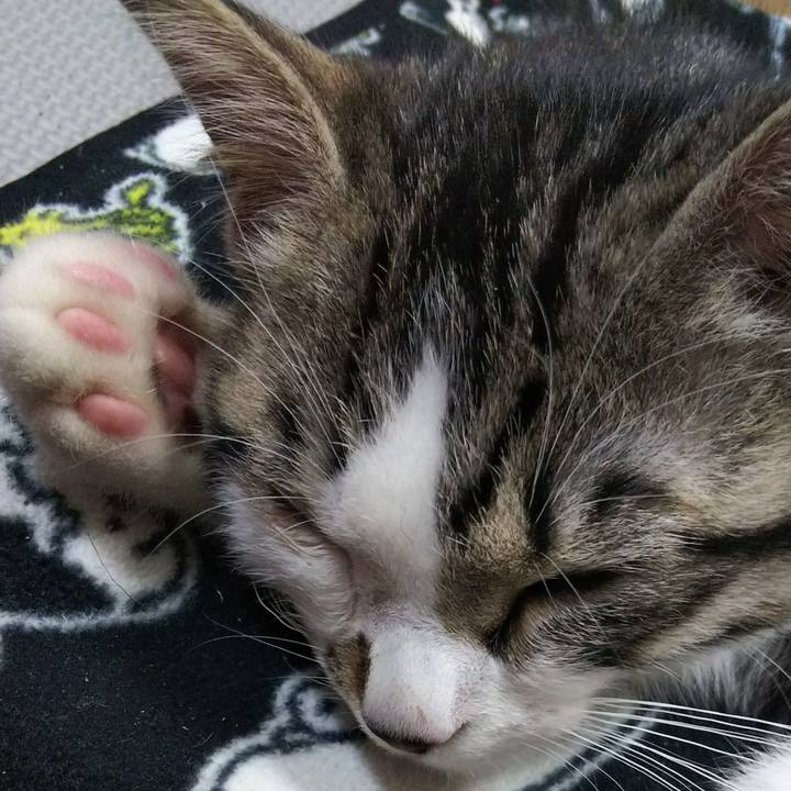 Db5380c0 2fe6 4575 88bc bca3248a9e56 1609760057891