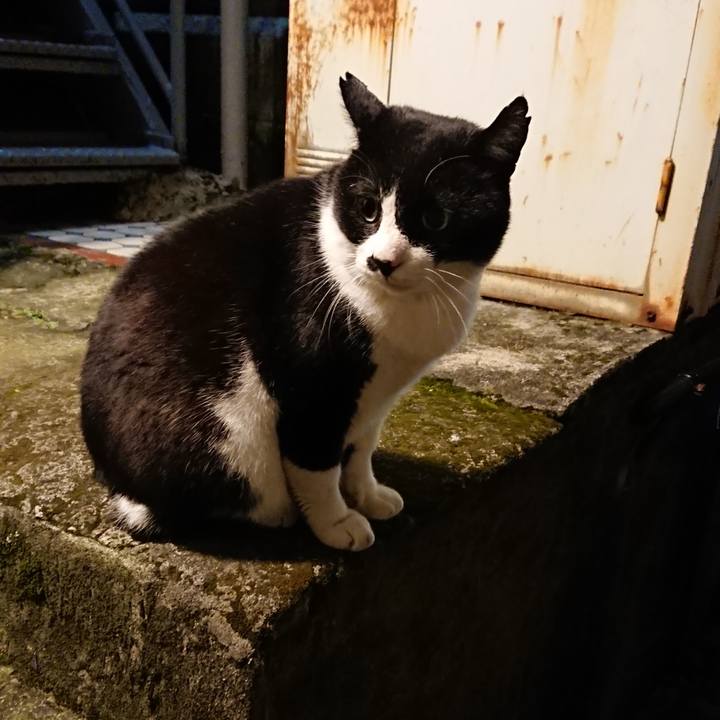 Db538df7 ee51 44e2 8d1b ddb940fdd9f7 1544257765417