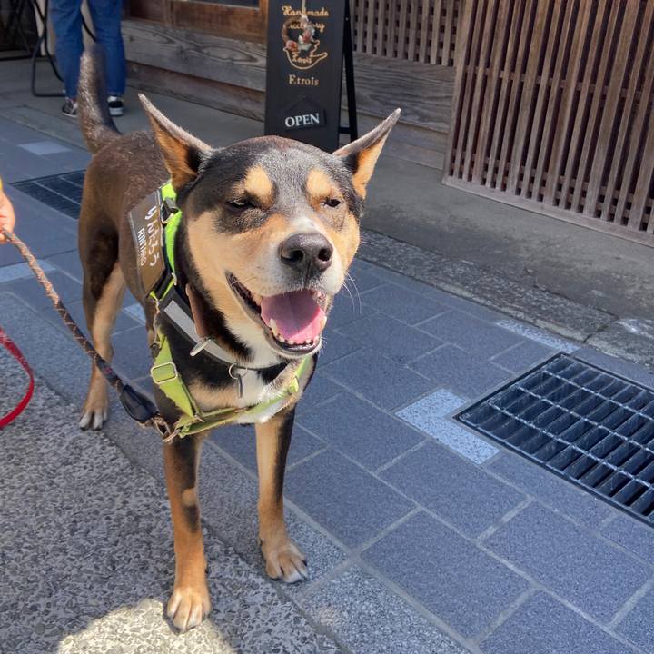 Db53abc4 0271 48de 932f 95e23bfe79c0 1681124754616