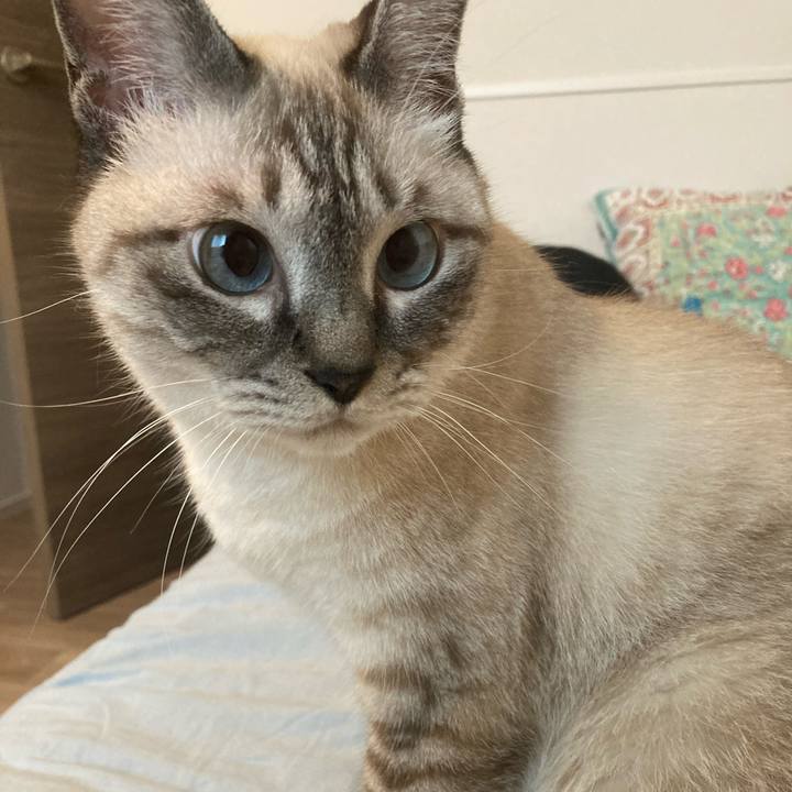 Db53d67d 96d3 4bbc a339 27e44e3d17ee 1664003904711