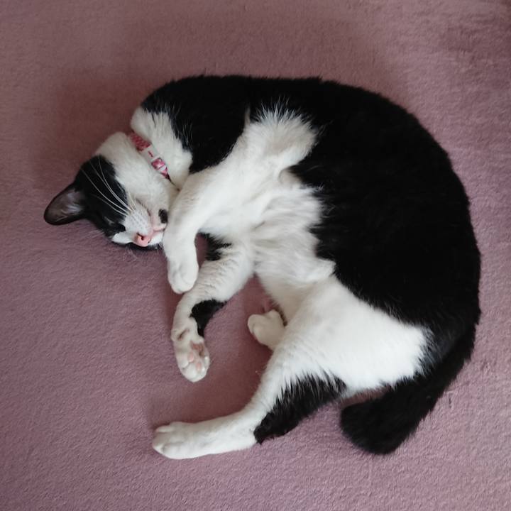 Db53d88f 83c9 495c b70d 539f4d6ccb3b 1624668923943