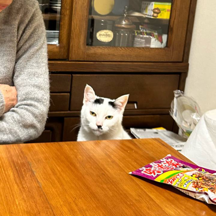 Db5428c9 20d8 47c8 bcee 552477c6c8ab 1771462939850