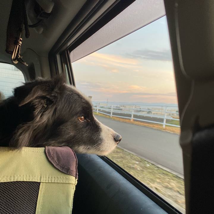 Db545818 00c4 4540 ab83 8b9143ba791b 1639177365527