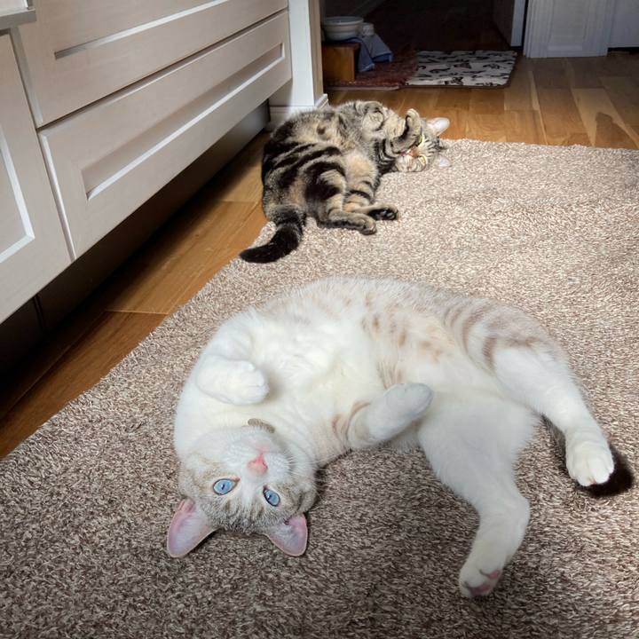 Db546efa 00fa 4fae a3f7 450414f01120 1589151065467