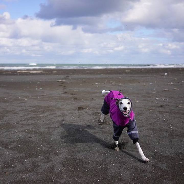 Db5477c8 27bb 48af 94d3 75eee696374a 1543230603508