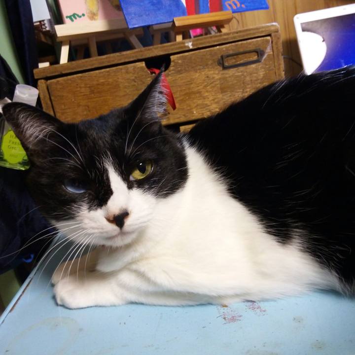 Db54fbcd 9adc 4355 a7a8 061c5fafbfe6 1513046822243